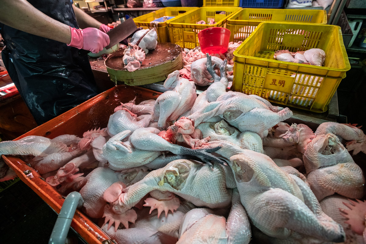 An Inside Look at Asian Wet Markets - We Animals Media